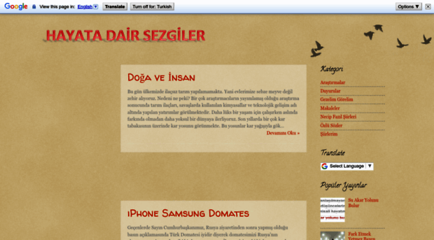 hayatadairsezgiler.blogspot.com.tr