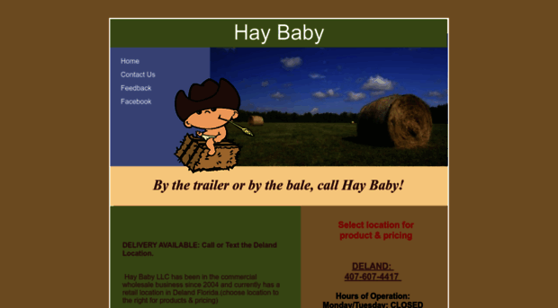 haybaby.net