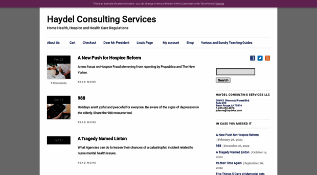 haydelconsultingservices.com