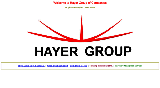 hayergroup.com