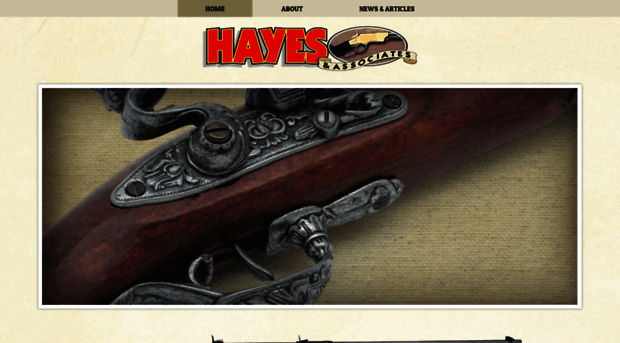 hayes-associates.co.nz