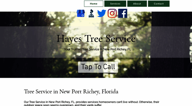 hayes-tree-service.com