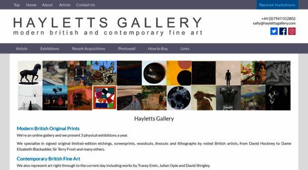 haylettsgallery.com