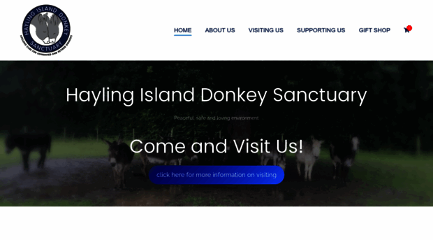 haylingdonkeys.co.uk