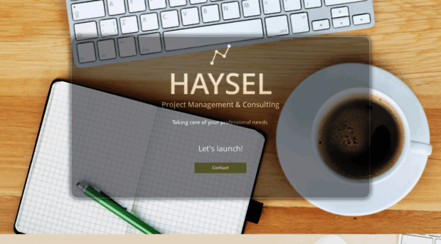 hayselconsulting.com