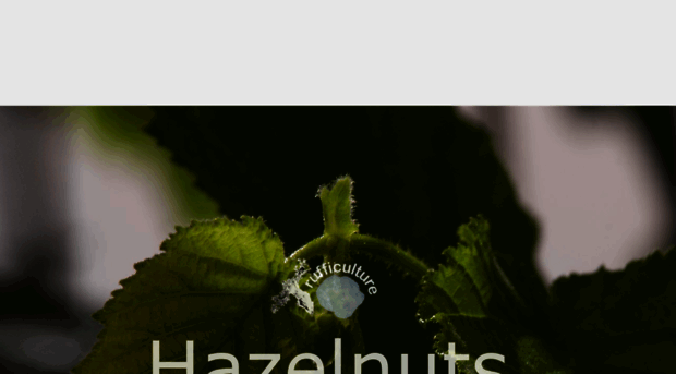 hazelnuts.com.au