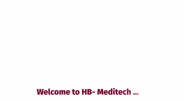 hb-meditech.com