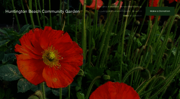 hbcommunitygarden.org