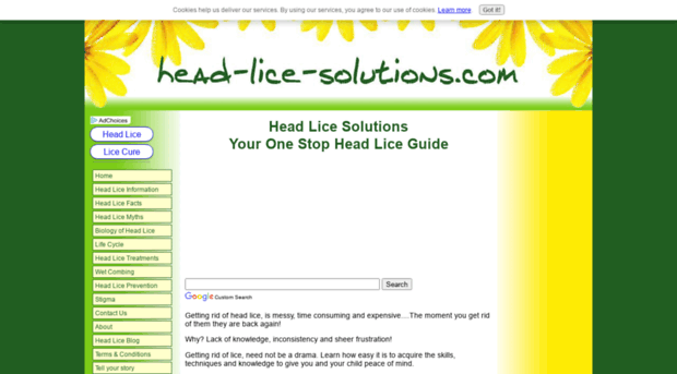 head-lice-solutions.com