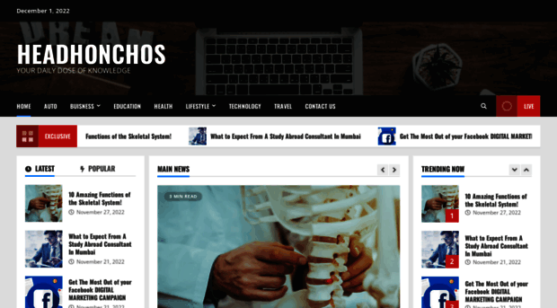 headhonchos.net