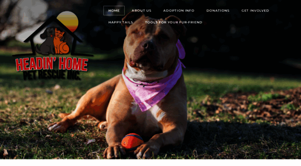 headinhomerescue.org