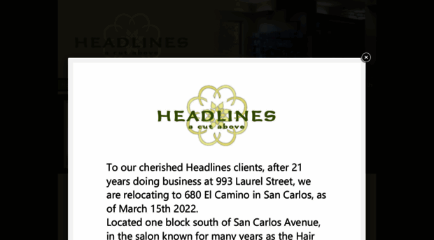 headlinesalon.net
