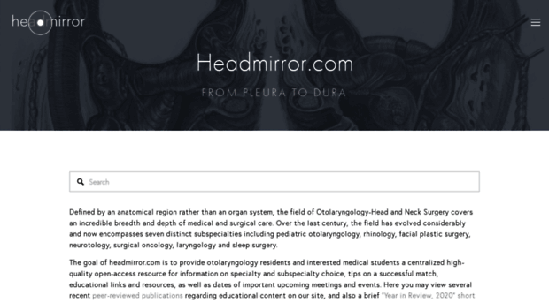 headmirror.com