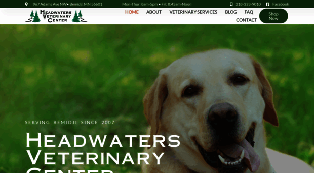 headwatersvetcenter.com