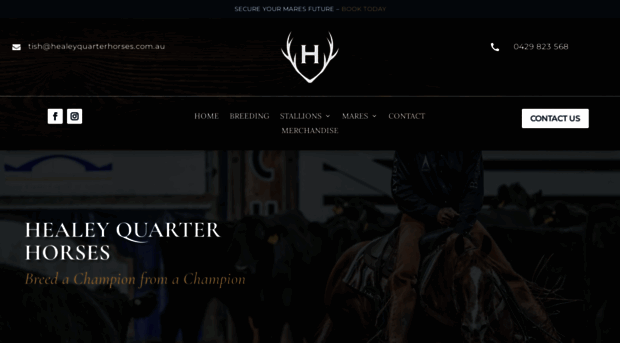 healeyquarterhorses.com.au