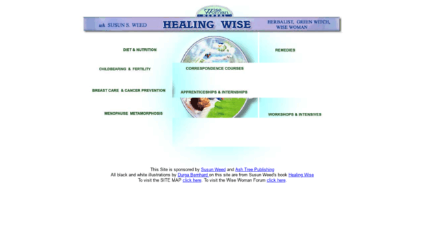 healing-wise.com