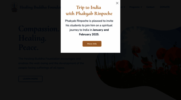 healingbuddhafoundation.org