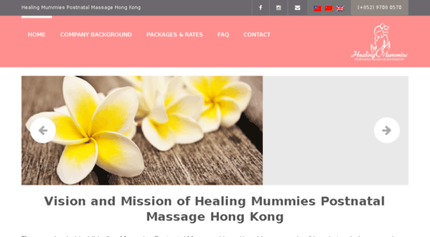 healingmummies.com