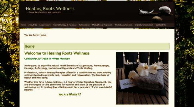 healingrootswellness.com