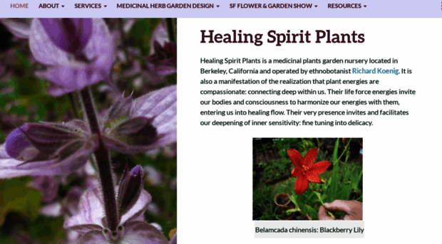 healingspiritplants.com