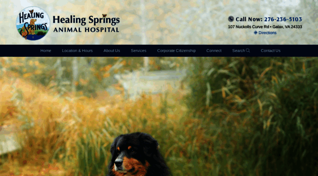 healingspringsanimalhospital.com