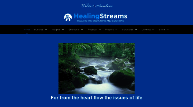 healingstreamsusa.org