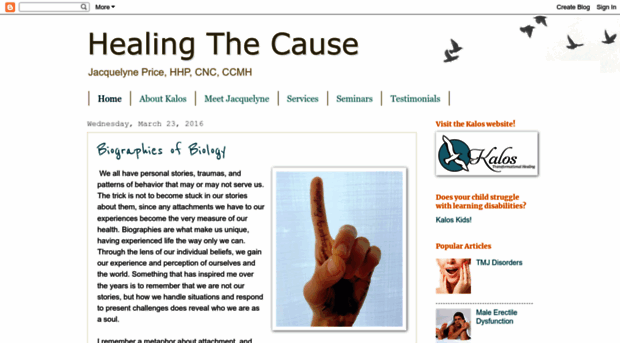 healingthecause.blogspot.com