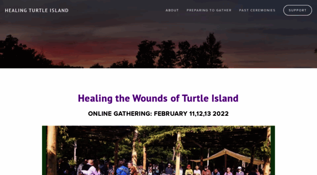 healingturtleisland.org