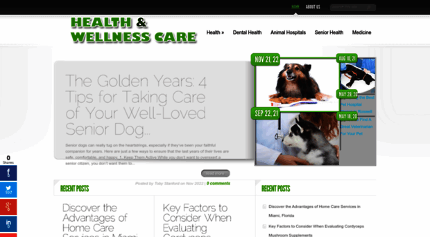 healthandwellnesscare.com