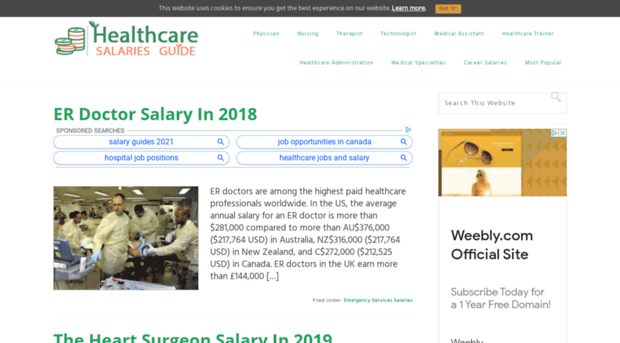 healthcaresalariesguide.com