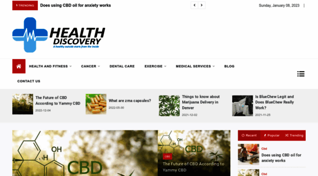 healthdiscovery.us