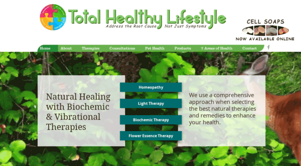 healthfularea.com