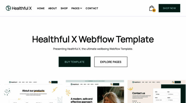 healthfultemplate.webflow.io