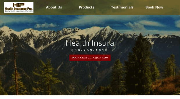 healthinsurancepro.net