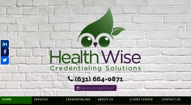 healthwisesolutionsinc.com