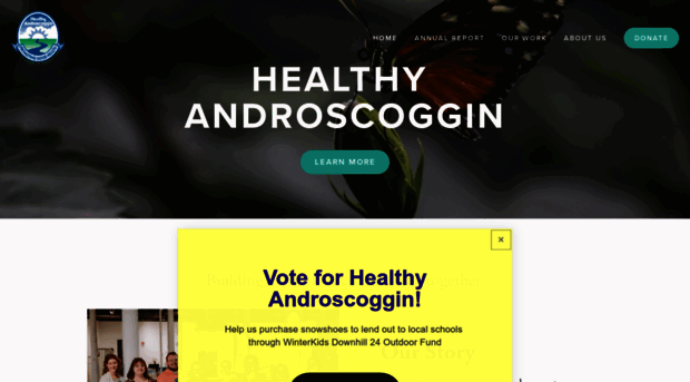 healthyandroscoggin.org