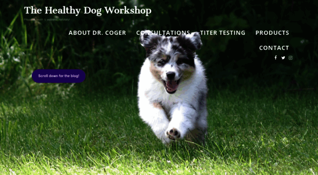 healthydogworkshop.com