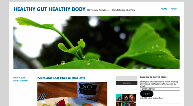 healthyguthealthybody.wordpress.com