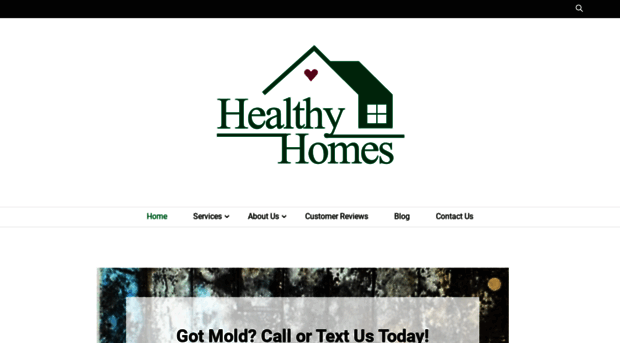 healthyhomesinc.com