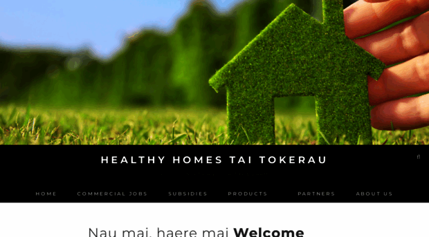 healthyhomesnorth.co.nz