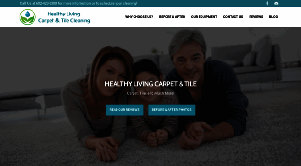 healthylivingcarpet.com