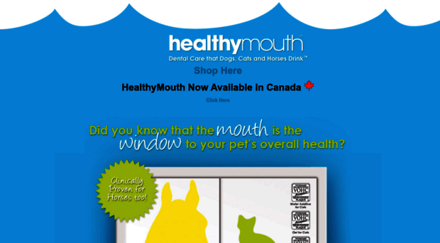 healthymouth.com