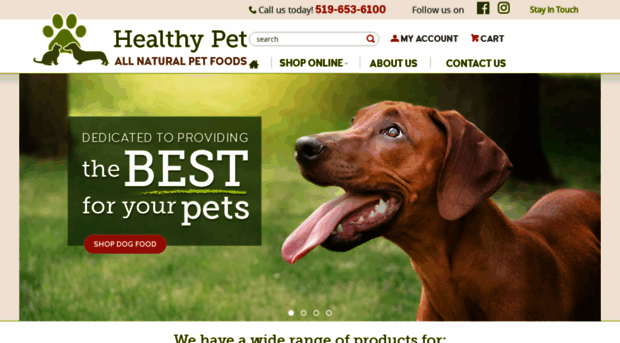 healthypetcambridge.com