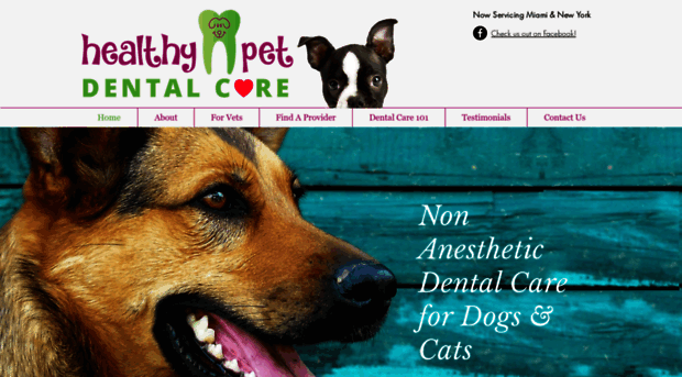 healthypetdentalcare.com