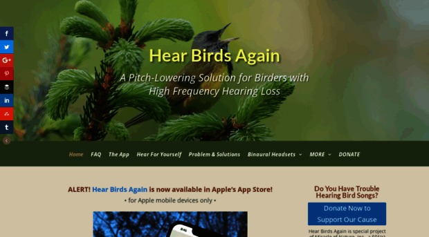 hearbirdsagain.com