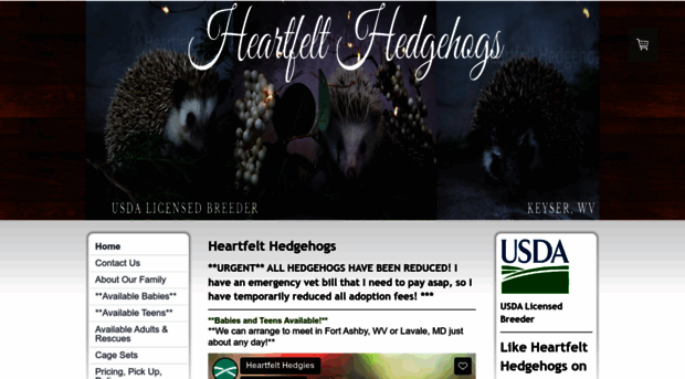 heartfelthedgehogs.com