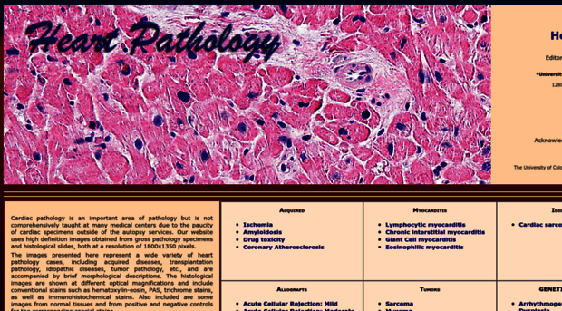 heartpathology.com