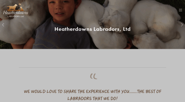 heatherdownslabradors.com