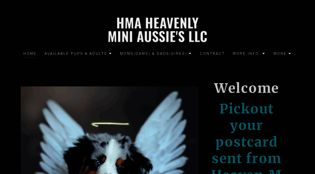 heavenlyminiaussies.com