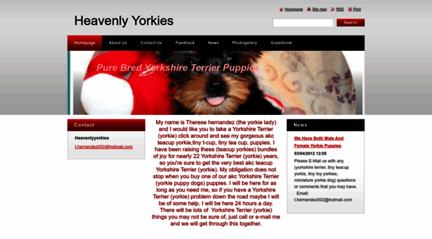 heavenlyyorkies.webnode.com